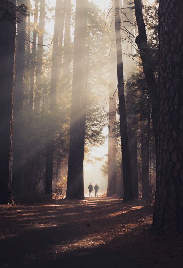 casey horner D4TooCIEyF4 unsplash casey horner D4TooCIEyF4 unsplash