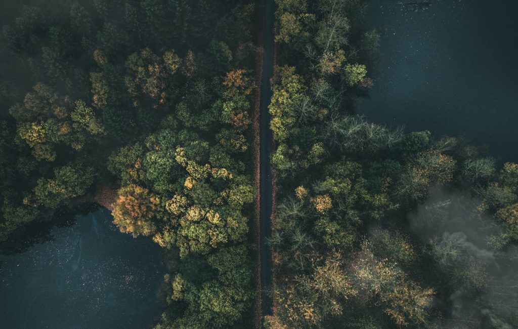 jan henrik franz 1063148 unsplash jan henrik franz 1063148 unsplash