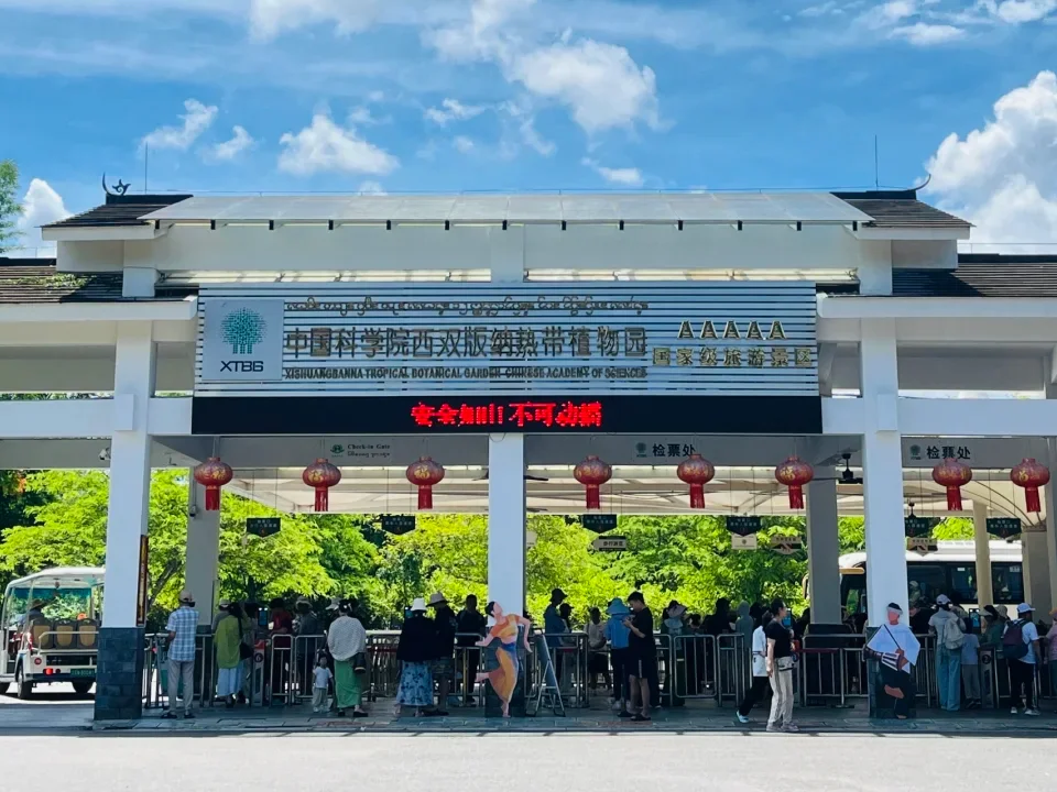 中科院西雙版納熱帶植物園,5A 級國家級景區,中國規模最大、物種最豐富的熱帶植物園,是西雙版納雨林探險必訪的植物王國。