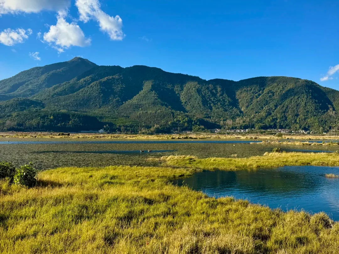 騰衝北海濕地公園的湖山全景,澄澈湖水、金黃草甸與蒼翠遠山相映,是火山堰塞湖孕育的高原濕地秘境。