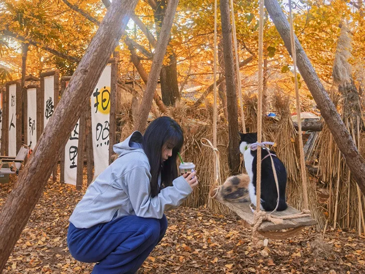 Outfit 9 騰衝銀杏村的森系打卡角落,秋千上的貓咪、金黃落葉與原木裝置,營造出超治愈的秋日氛圍。