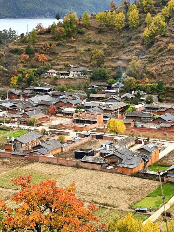 Lugu Lake Mosuo rkqdhs3i3pdumdmqcncdq6nlfes2p74f78csaoigqo 俯瞰瀘沽湖畔的摩梭族村落,傳統木楞房建築錯落有致,周圍環繞著秋季金黃色的樹木與農田,背景為靜謐的湖水。