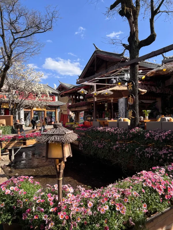 Shuhe Ancient Town Lijiang 2 束河古鎮的溪邊餐廳街景,花團錦簇、溪水潺潺,藍天白雲下,是麗江最療癒的慢生活畫面。