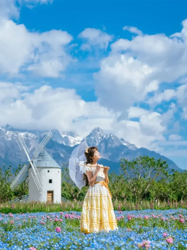 Summer Scenery of Lijiang 5 麗江夏季風車花海與遠方雪山景觀。