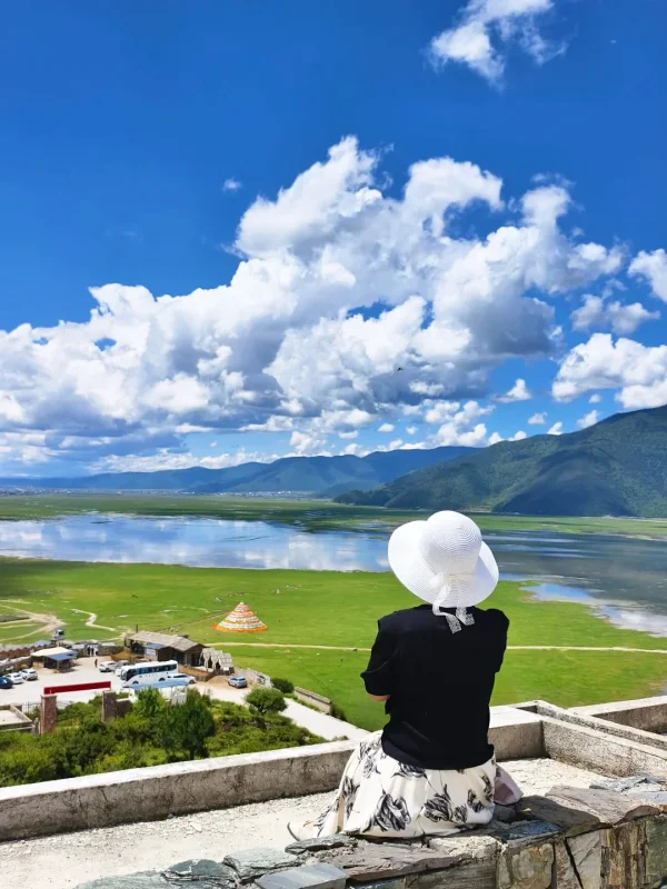 香格里拉納帕海高原湖泊俯瞰與草原夏季風景
