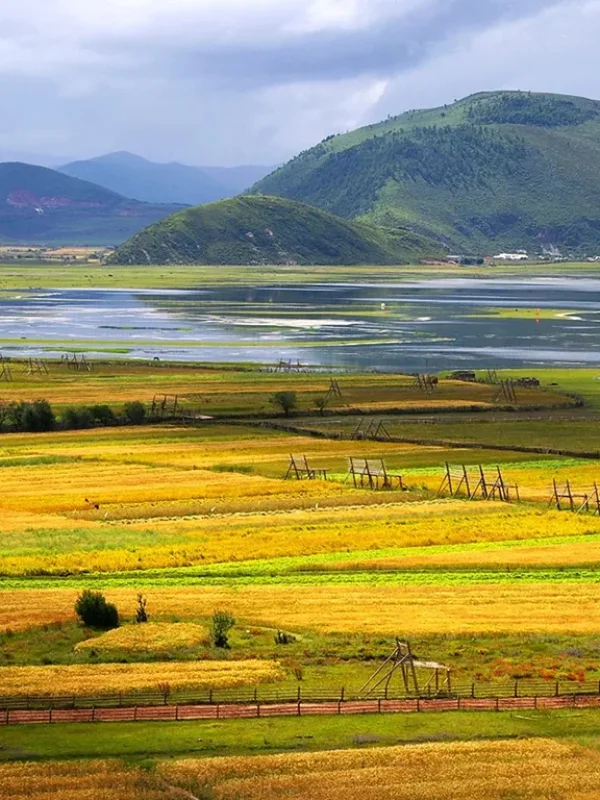 香格里拉秋季農田與湖泊高原風景