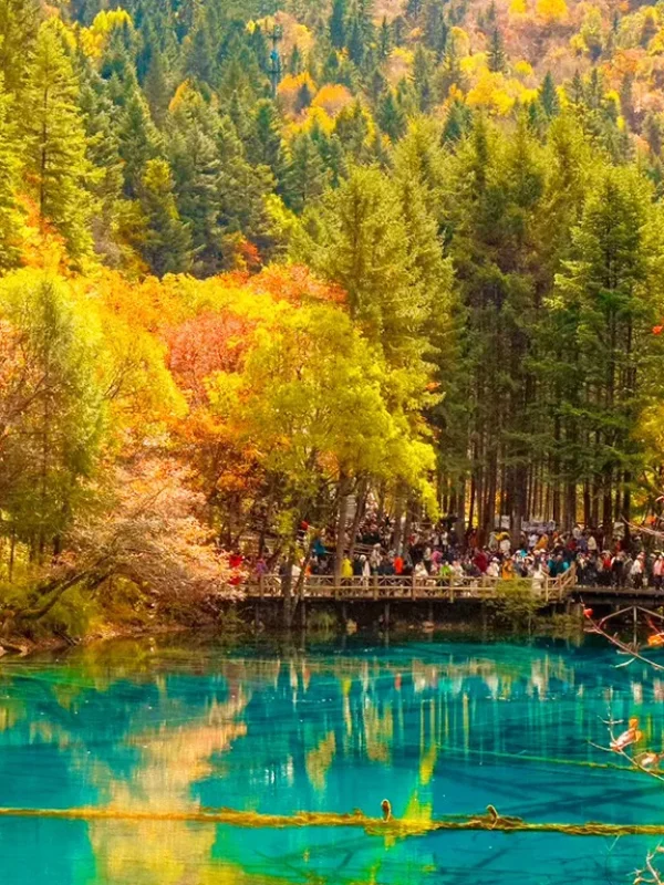 香格里拉藍色湖泊與秋季彩林倒影風景