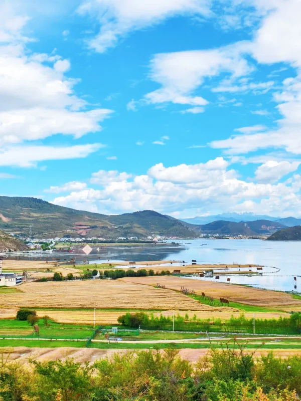 香格里拉高原湖泊與農田草原交錯的春季景色
