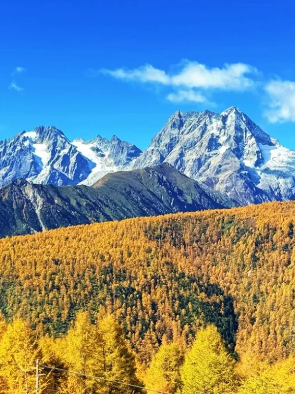 香格里拉秋季雪山與森林遠景景觀